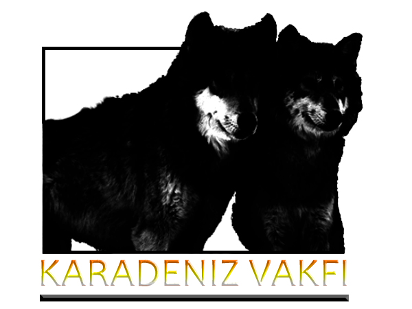 Logo Design by Pixel Pix for kapicioglu insaat | Design #614850