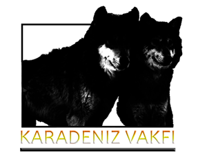 Logo Design by Pixel Pix for kapicioglu insaat | Design: #614850