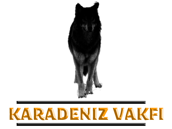 Logo Design by Pixel Pix for kapicioglu insaat | Design #614851