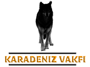 Logo Design by Pixel Pix for kapicioglu insaat | Design: #614851