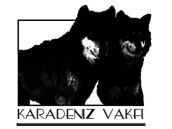 Logo Design by Pixel Pix for kapicioglu insaat | Design #614852