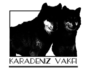 Logo Design by Pixel Pix for kapicioglu insaat | Design: #614852