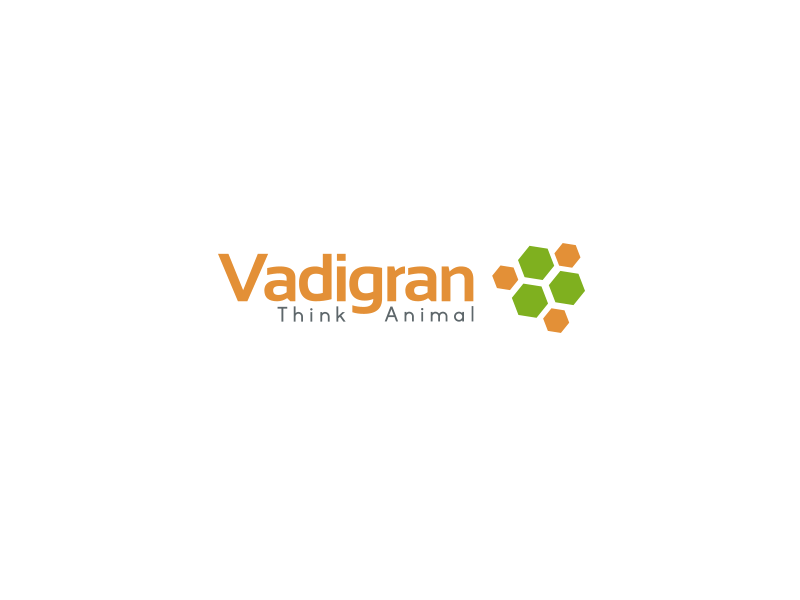 Logo Design by LuntikMoonBee for Vadigran | Design #16261538