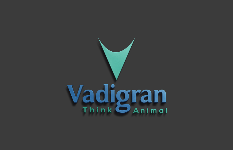 Logo Design by IconicEcho for Vadigran | Design #16219546