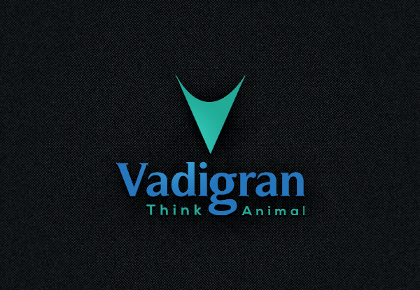 Logo Design by IconicEcho for Vadigran | Design #16219549