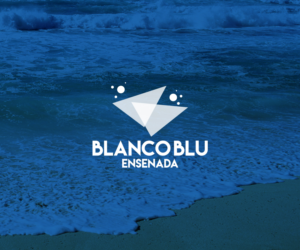 Logo Design by AlleMallec for Puresounds | Design: #16231931