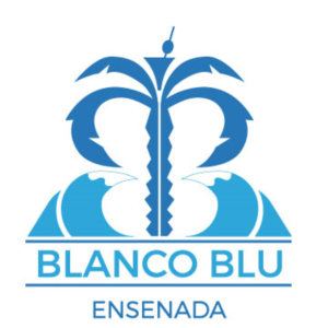 Logo Design by Diana's designs
