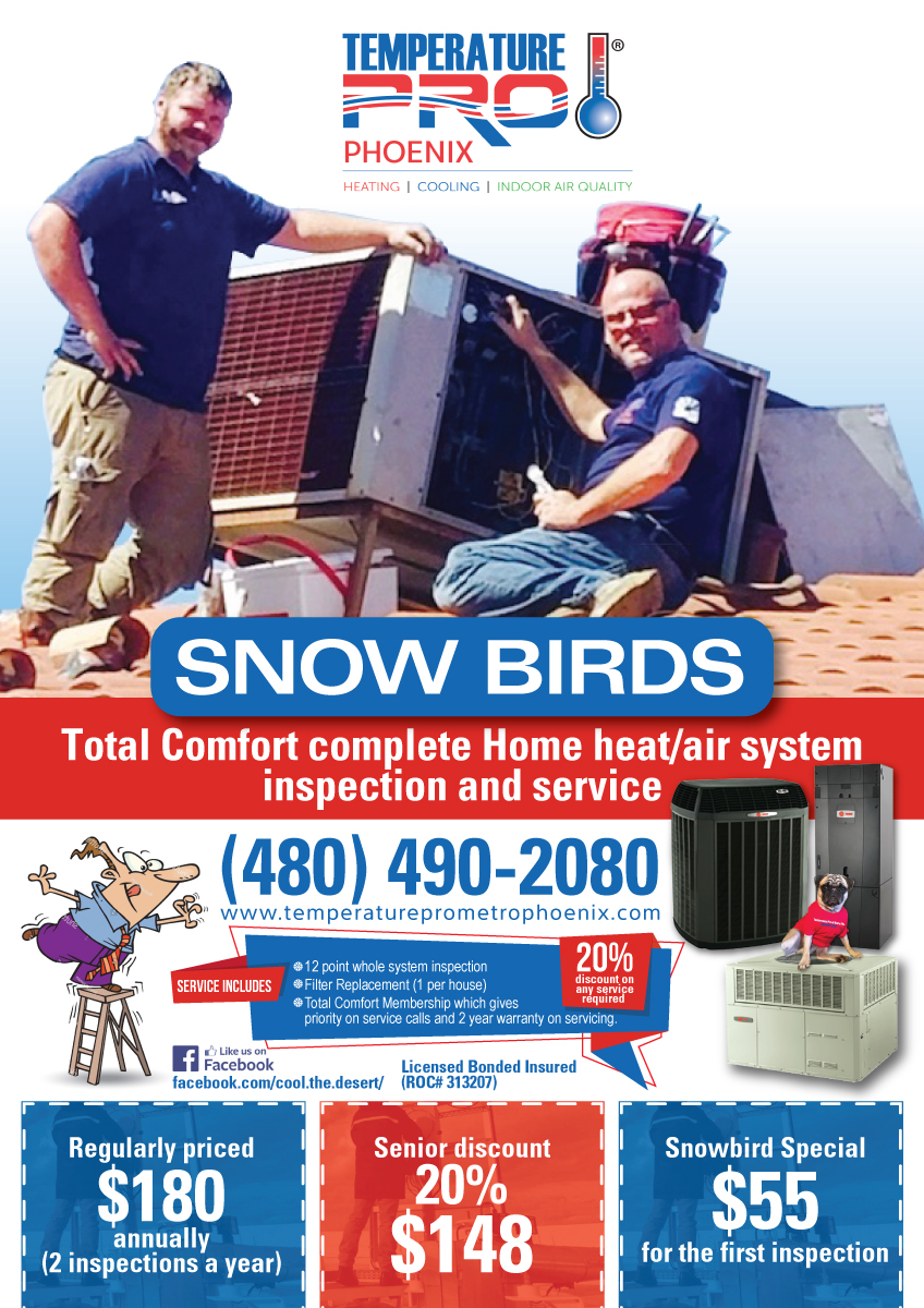 Advertisement Design by Impressive Sol for TemperaturePro | Design #16227350