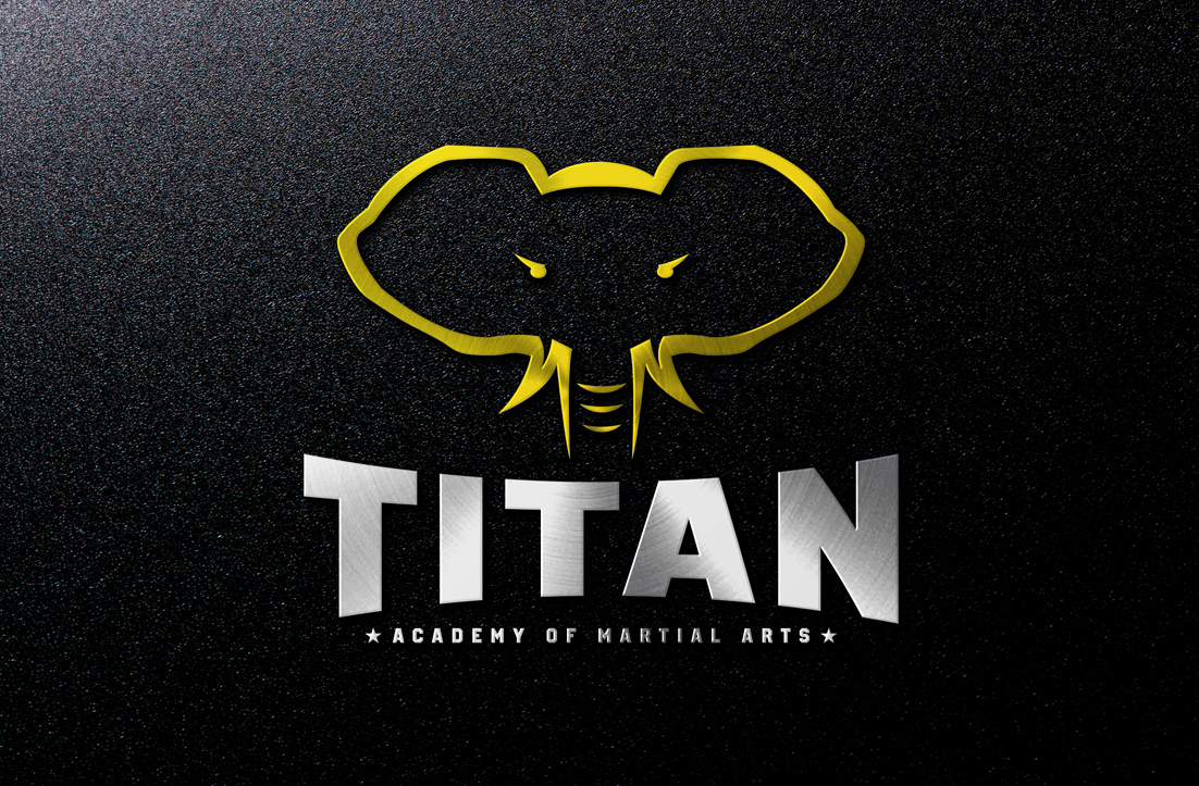 Logo Design by GLDesigns for Titan Academy of Martial Arts  | Design #16662537