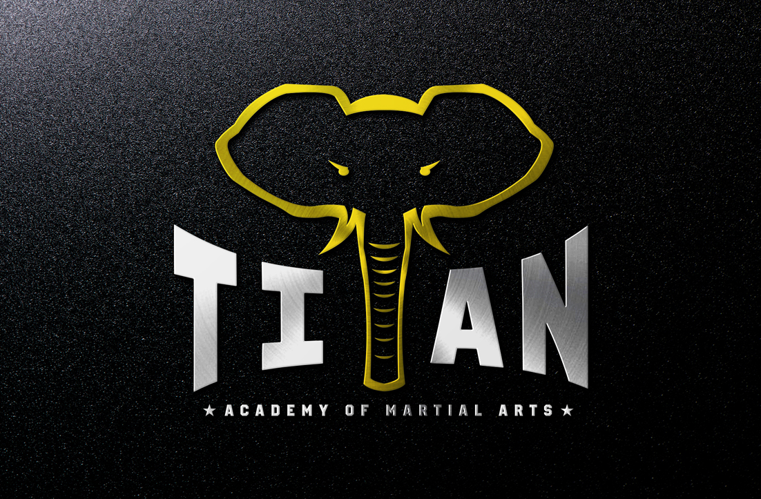 Logo Design by GLDesigns for Titan Academy of Martial Arts  | Design #16662768