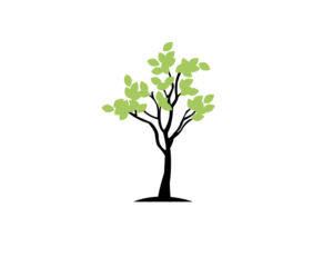 Design de Logo par anmiza.cm pour ce projet | Design : #16324584