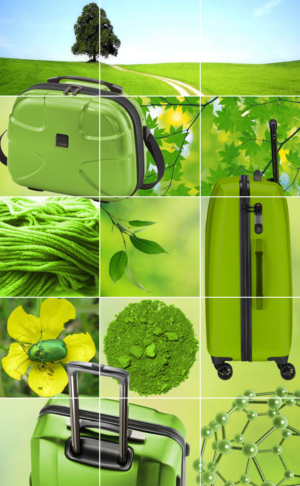 Graphic Design by Riaz786 for this project | Design: #16229409