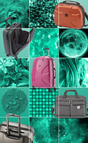 Graphic Design by Riaz786 for this project | Design: #16235839