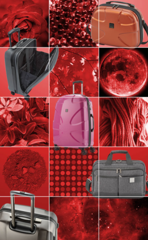 Graphic Design by Riaz786 for this project | Design #16237508
