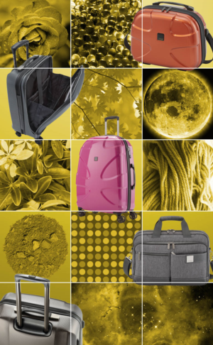 Graphic Design by Riaz786 for this project | Design: #16237509