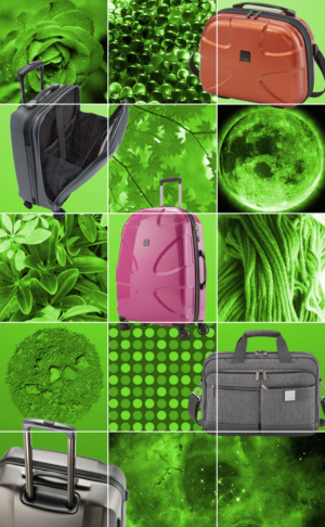 Graphic Design by Riaz786 for this project | Design: #16237510