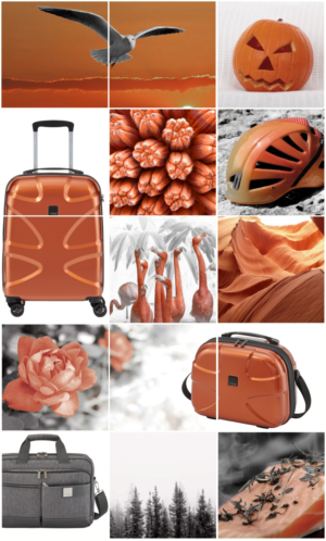 Graphic Design by silvestrecajigan for this project | Design #16224276