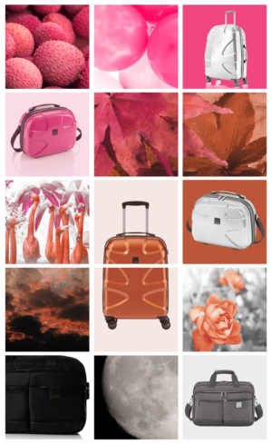 Graphic Design by silvestrecajigan for this project | Design: #16235295