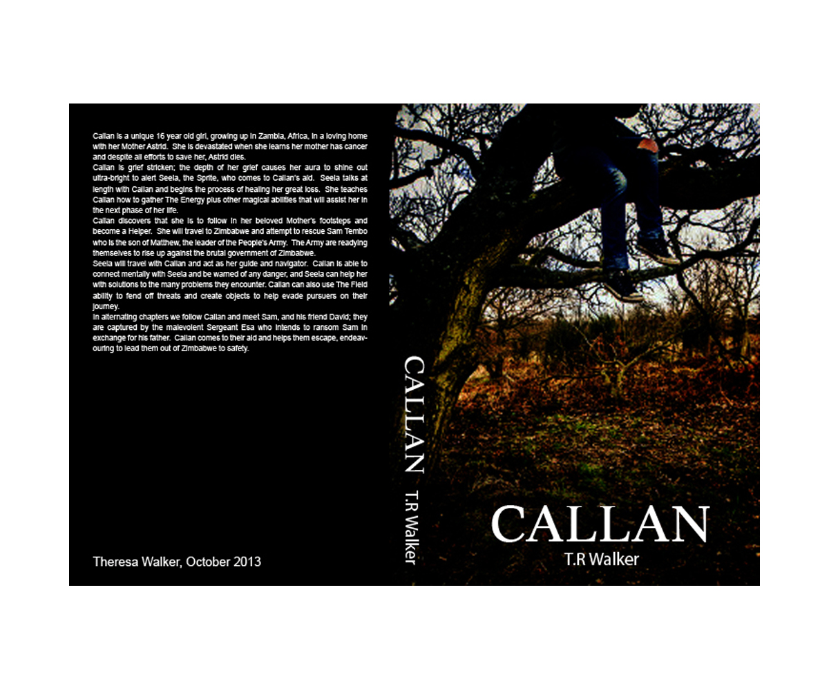 Book Cover Design by Mohib Qazi for this project | Design #2662920