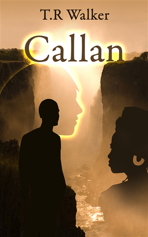 Book Cover Design by nemorosa for this project | Design: #2687073