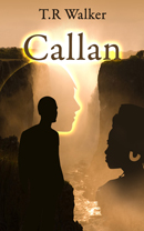 Book Cover Design by nemorosa for this project | Design: #2687074