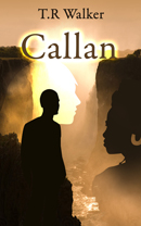 Book Cover Design by nemorosa for this project | Design: #2687079