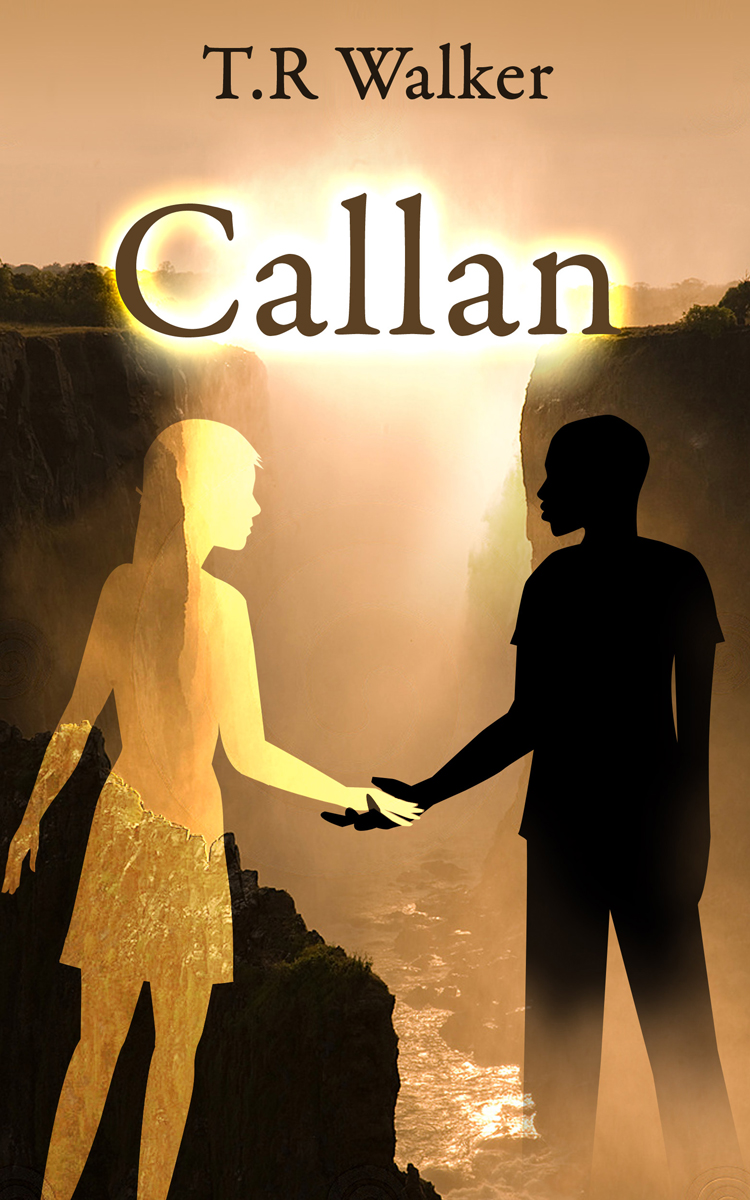 Book Cover Design by nemorosa for this project | Design #2698375