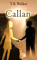 Book Cover Design by nemorosa for this project | Design: #2698377