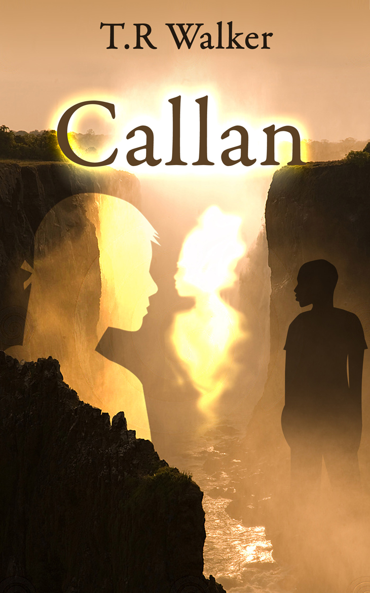 Book Cover Design by nemorosa for this project | Design #2718490