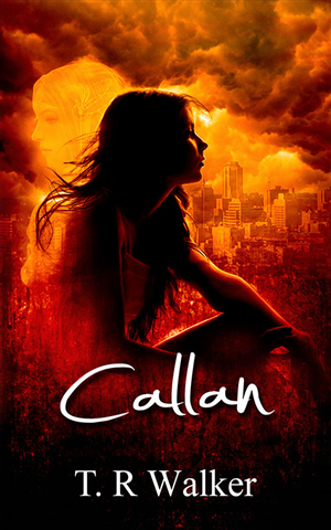 Book Cover Design by jshan for this project | Design: #2675306