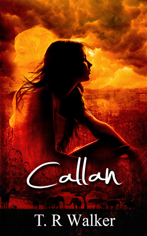 Book Cover Design by jshan for this project | Design #2705369