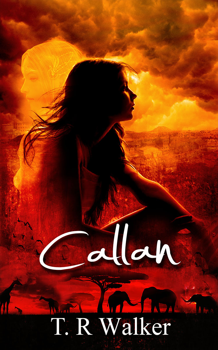 Book Cover Design by jshan for this project | Design: #2725961