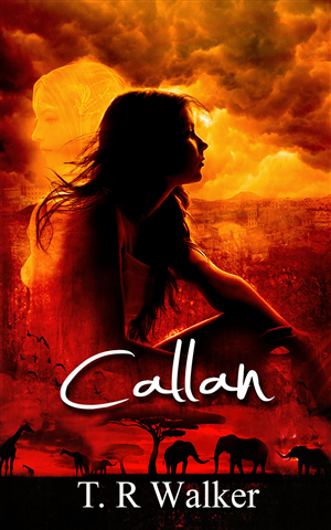 Book Cover Design by jshan for this project | Design: #2725961