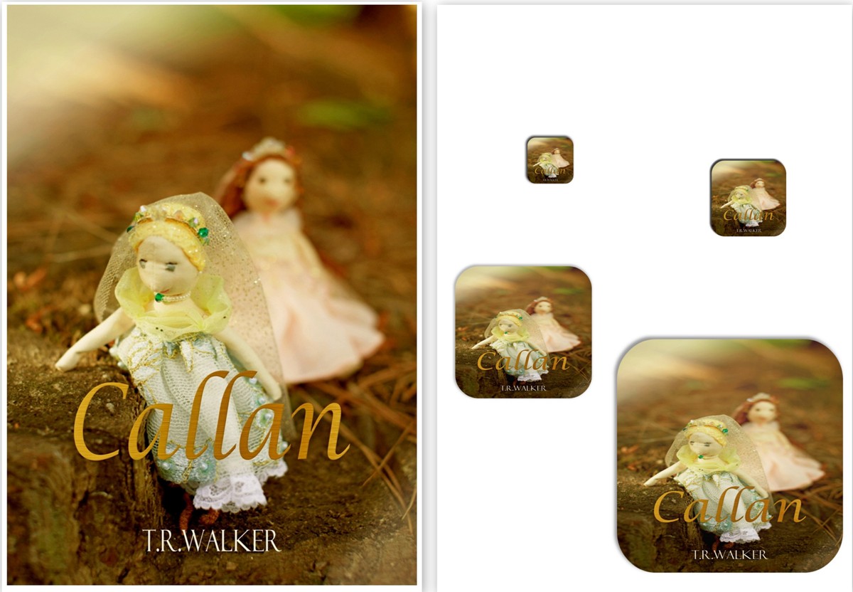 Book Cover Design by Bobby22 for this project | Design #2725676