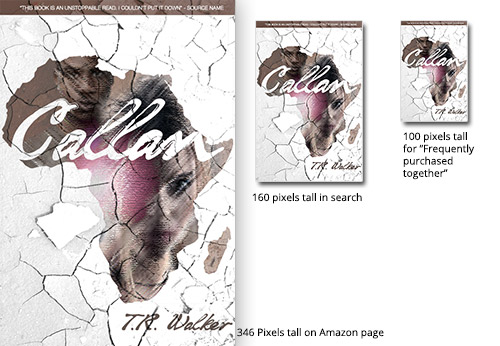 Book Cover Design by Tucker FitzGerald for this project | Design #2725596