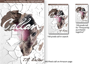 Book Cover Design by Tucker FitzGerald for this project | Design: #2725596