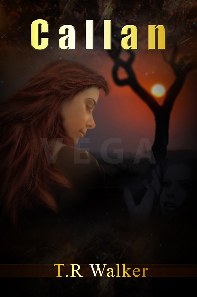 Book Cover Design by VEGA-Designs for this project | Design #2659280