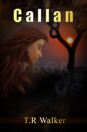 Book Cover Design by VEGA-Designs for this project | Design: #2659280