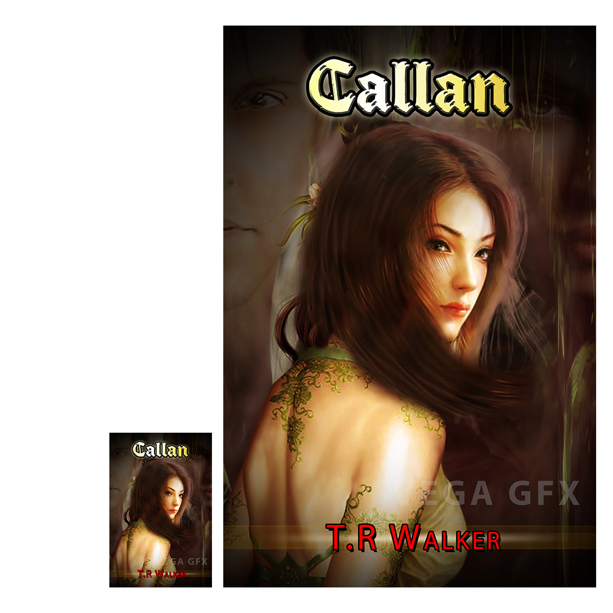 Book Cover Design by VEGA-Designs for this project | Design #2683614