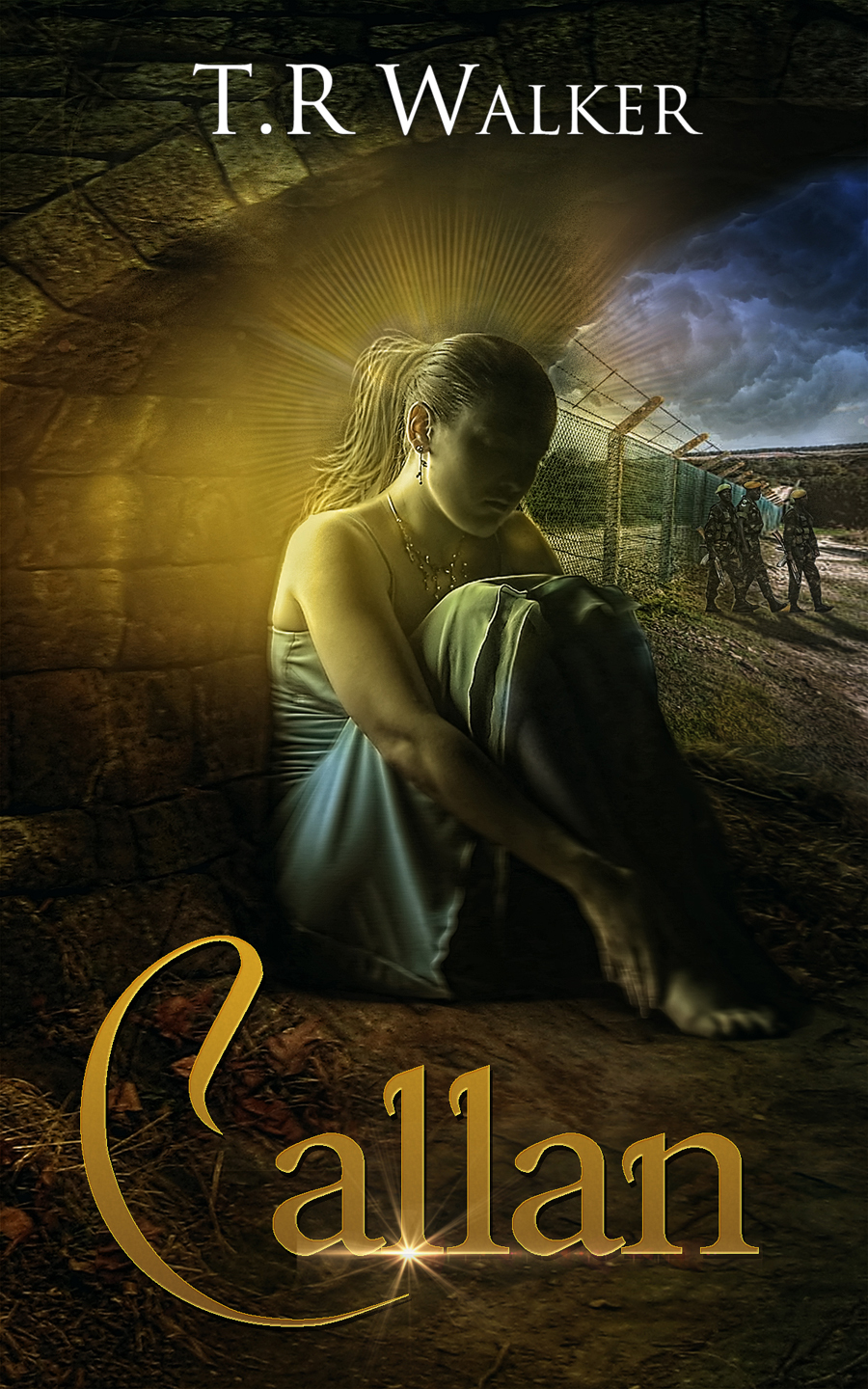 Book Cover Design by Vanes7 for this project | Design #2678206