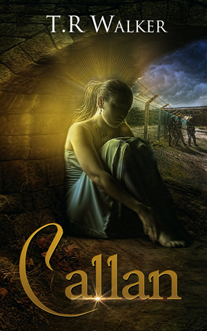 Book Cover Design by Vanes7 for this project | Design: #2678206