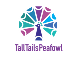 Logo Design by hansi for this project | Design #16321931