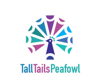 Logo Design by hansi for this project | Design: #16321976