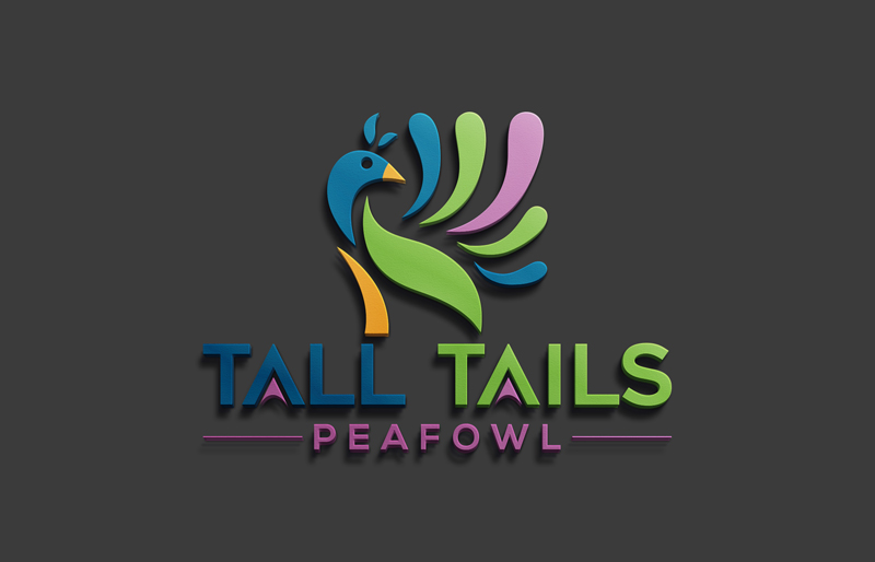 Logo Design by IconicEcho for this project | Design #16260932