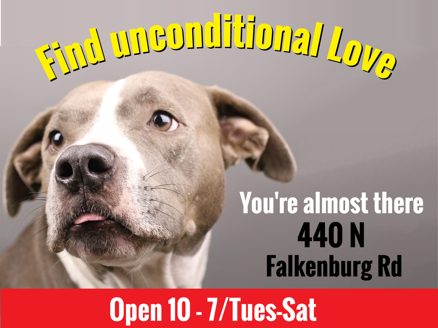 Werbe-Design von Impressive Sol für PaperTracker | Design #17870362