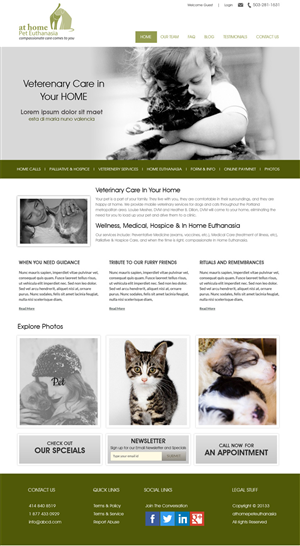 Web Design by Expert Designer