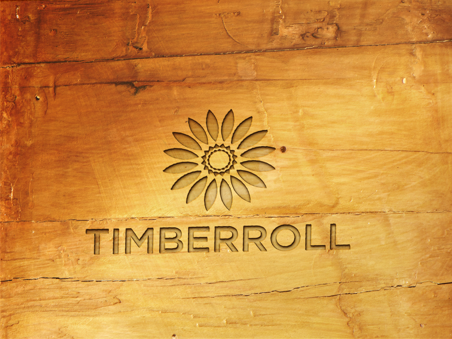 Logo Design by Adnan Ansari for Nachfolgepartner AG | Design #16257156