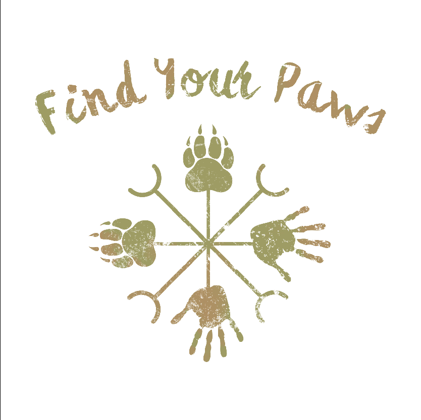 Diseño de Camiseta por jamesmccue1 para este proyecto | Diseño #16565257