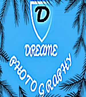 Logo Design by Mr.Original88