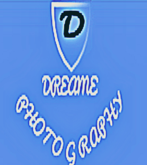 Logo Design by Mr.Original88 for Dreame Photography | Design: #16254852